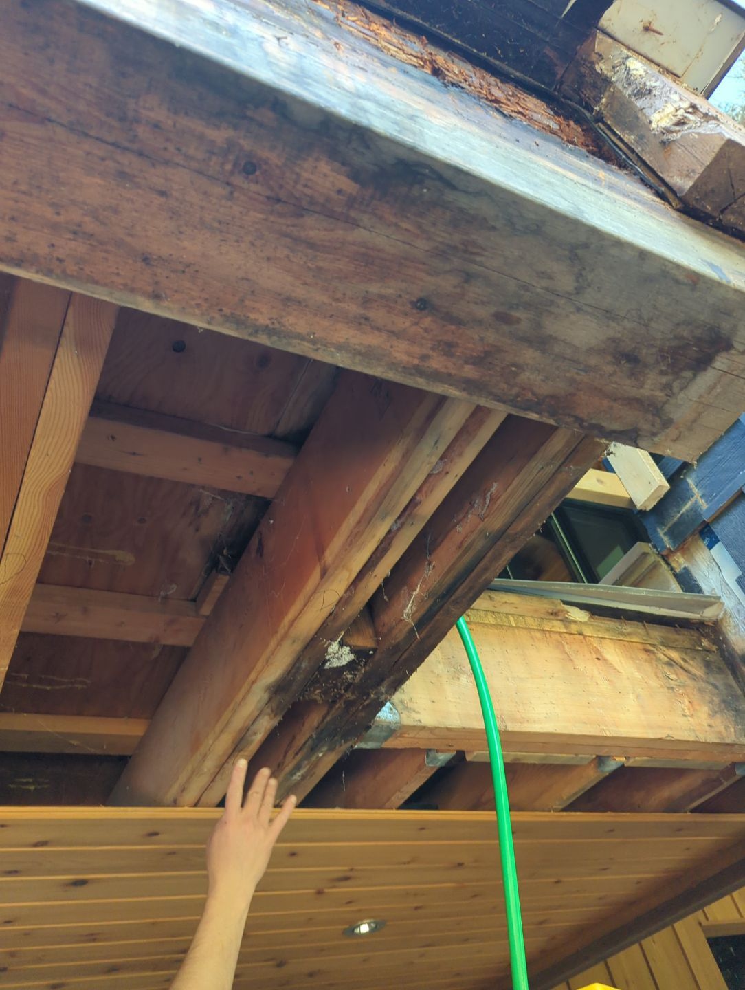 Old deck rot found